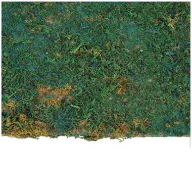 Tappeto Carta Prato Verde Azzurra con Muschio cm.50x70