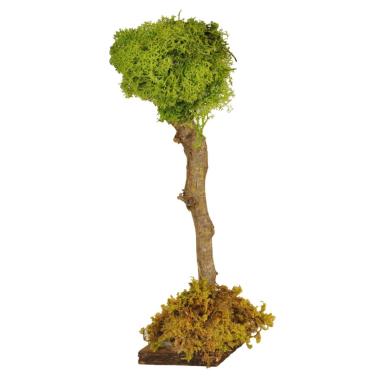 Albero con Fusto Legno e Lichene Verde cm.30