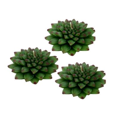 Candela Aloe Verde cm.7 Set Pezzi 3