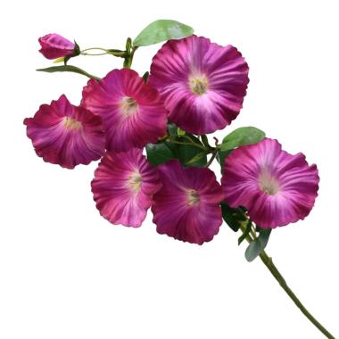 Fiore Ipomea Viola cm.76