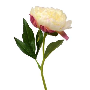 Fiore Peonia Bianco cm.33