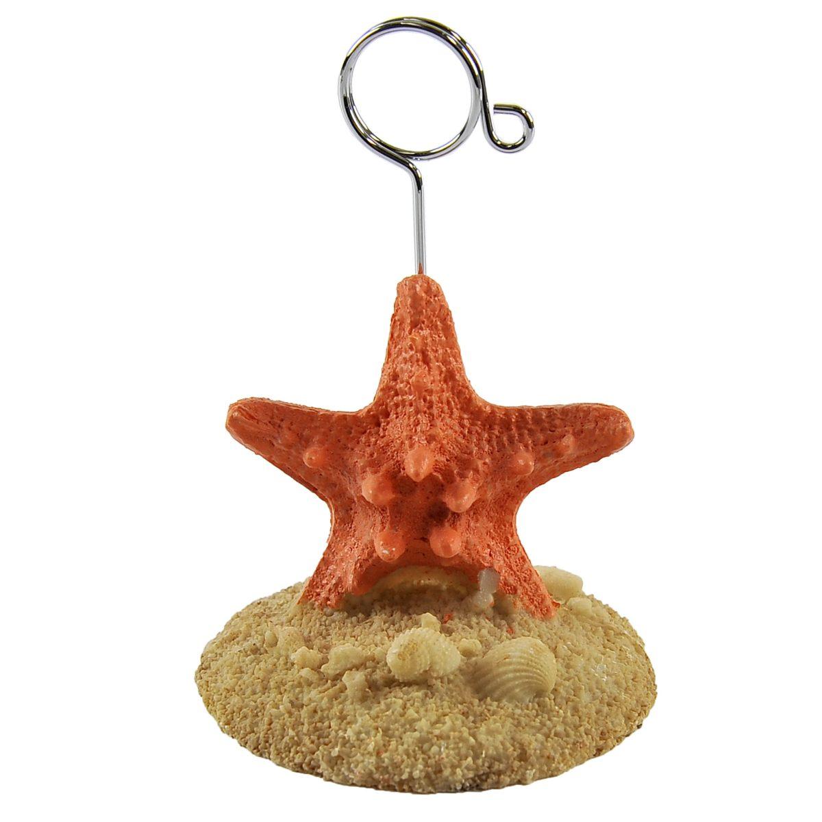 Segnaposto Resina Stella Marina Rosa cm.7x11 | Vacchetti