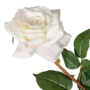 Fiore Rosa Bianco cm.73