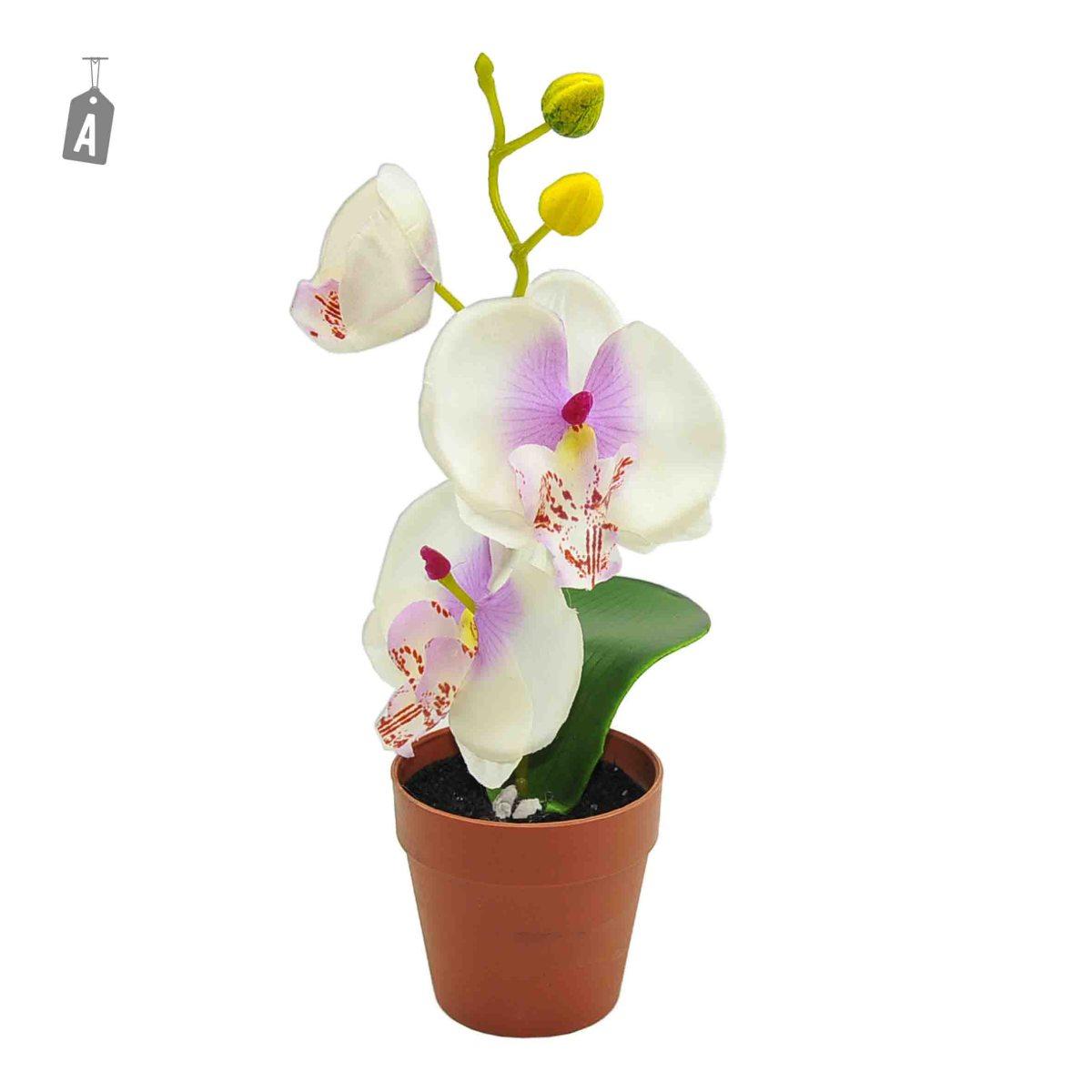 Vasetto Orchidea cm.Ø7x24 2 Colori