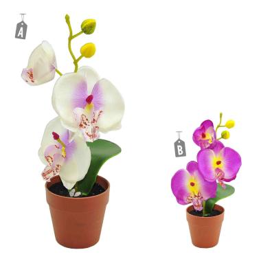 Vasetto Orchidea cm.Ø7x24 2 Colori