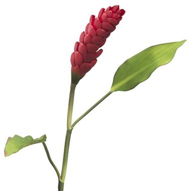 Fiore Ginger Rosso con Foglie cm.95