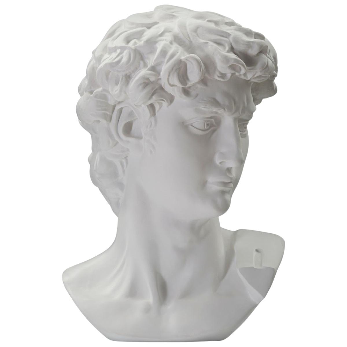 Scultura Testa Antica Bianca cm.44x35,5x60 | Mauro Ferretti