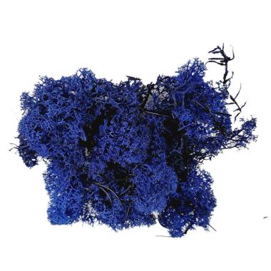 Lichene Sintetico Blu Scuro gr.30