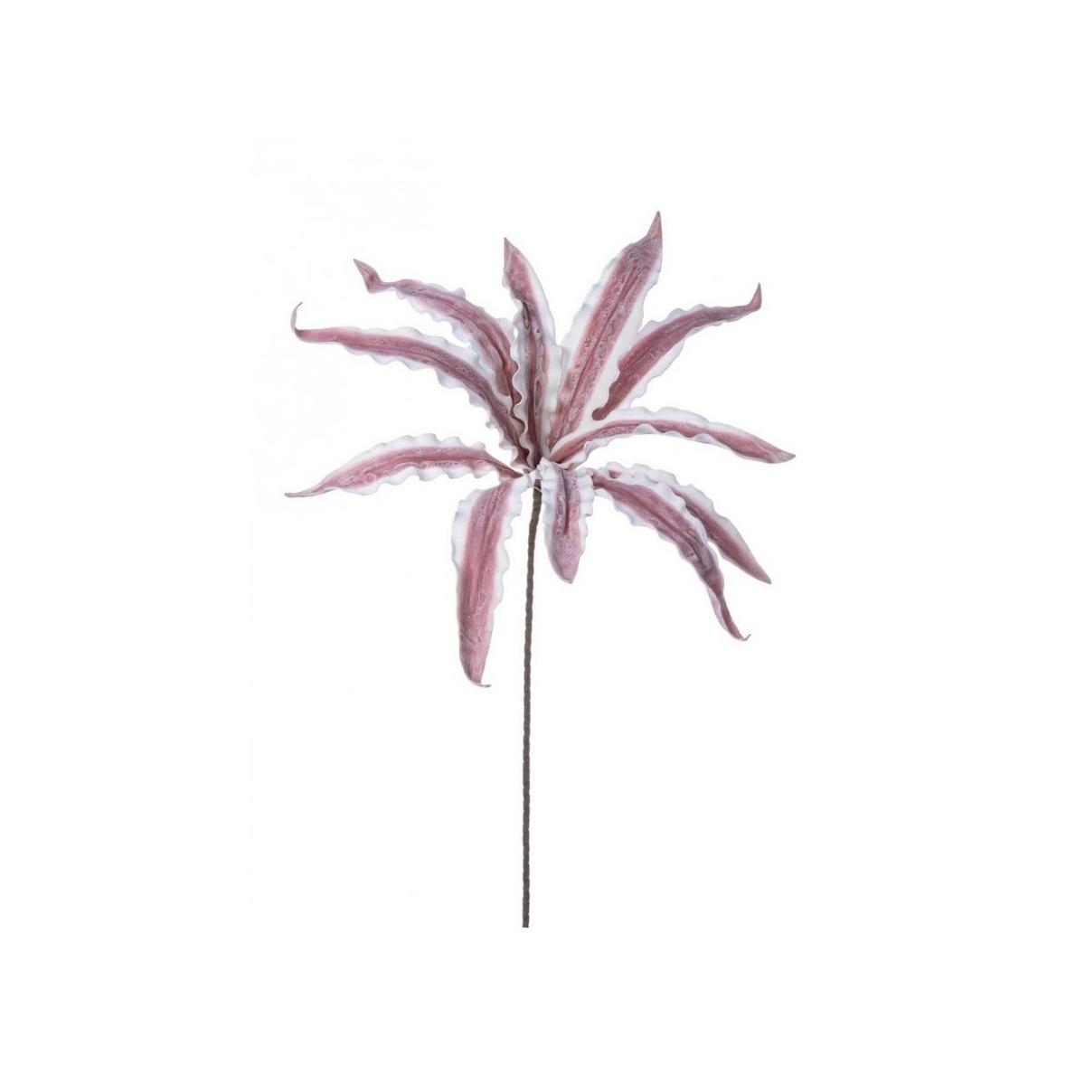 Ramo Aloe Variegata Rosa Cm.H98