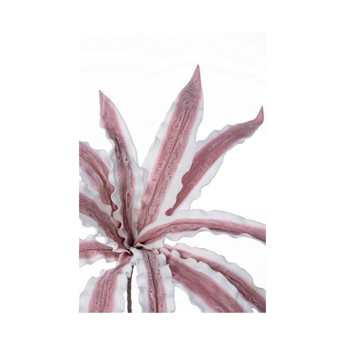Ramo Aloe Variegata Rosa Cm.H98