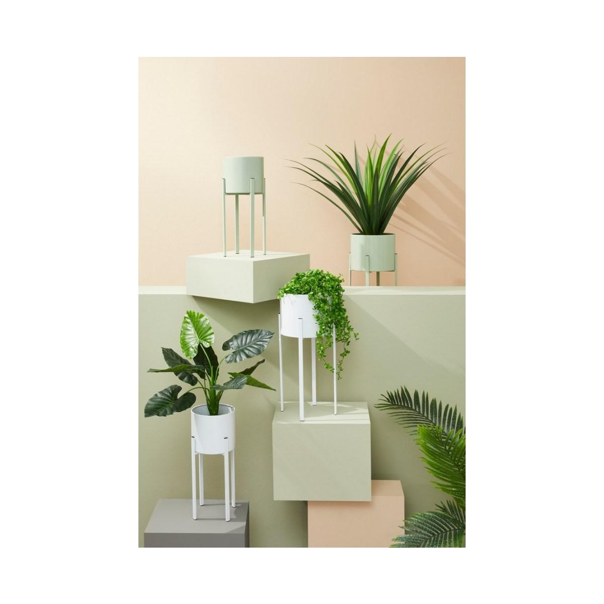 Portafiori Set pz.2 Ester Tondo Verde Salvia | Bizzotto