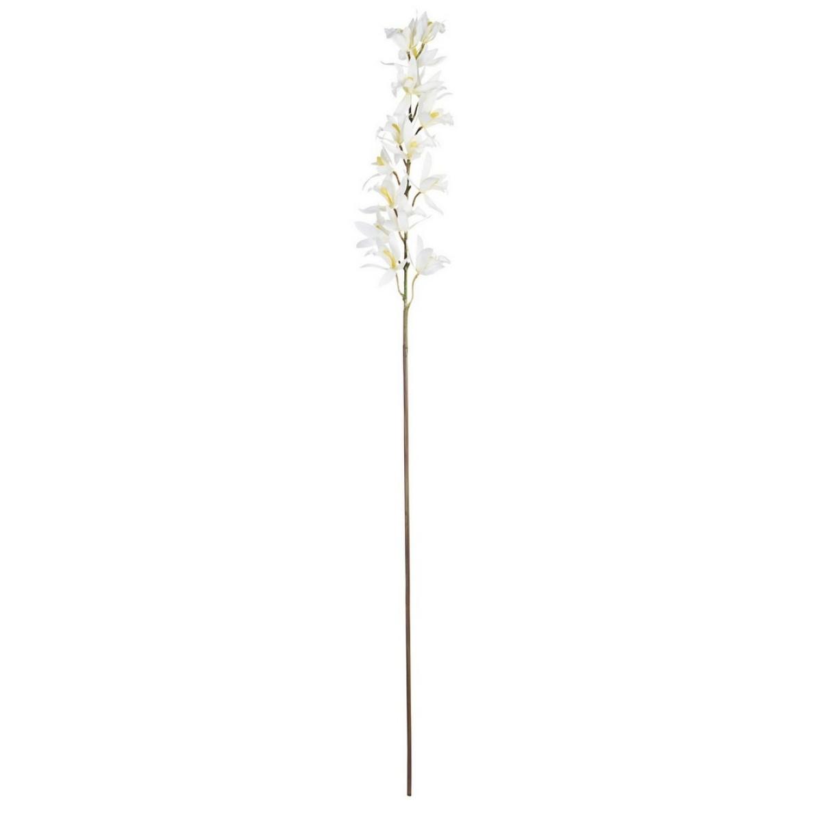 Orchidea Dendrobium X15F Bianco Cm.H104