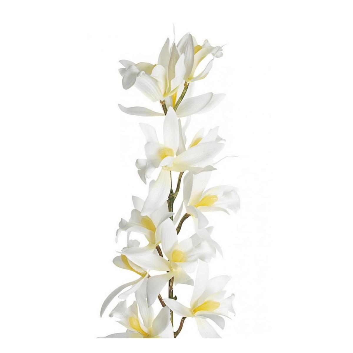 Orchidea Dendrobium X15F Bianco Cm.H104