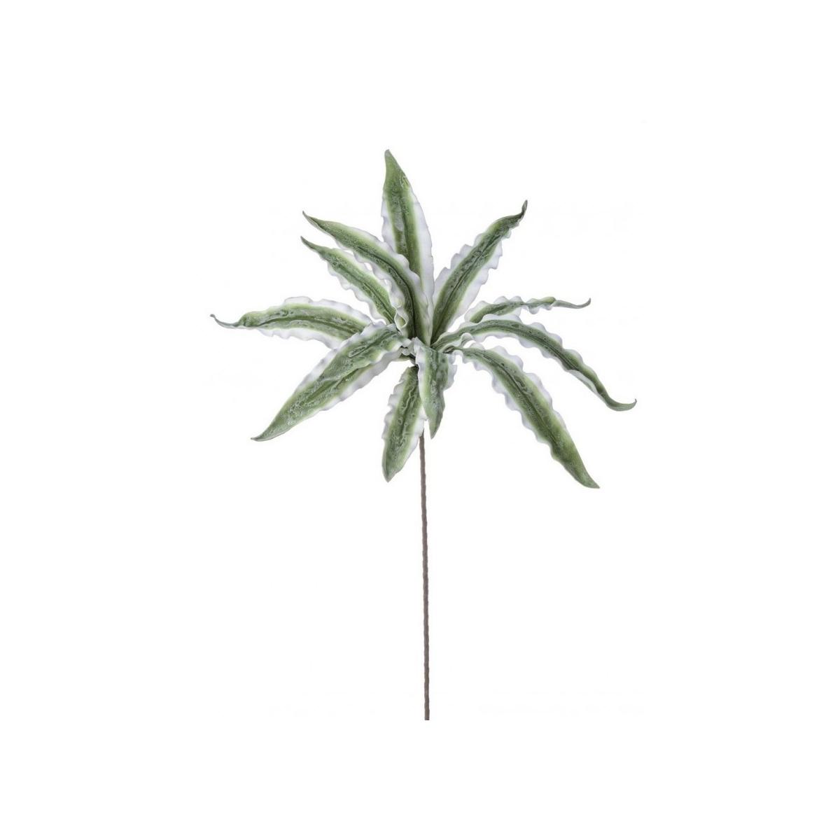 Ramo Aloe Variegata Verde Cm.H98