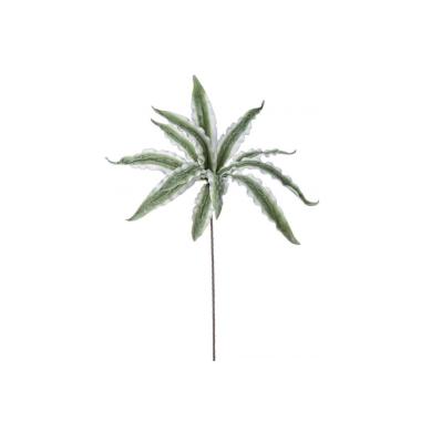 Ramo Aloe Variegata Verde Cm.H98