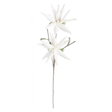 Fiore Aloe Chinensis x2F Bianco cm.H125 | Bizzotto