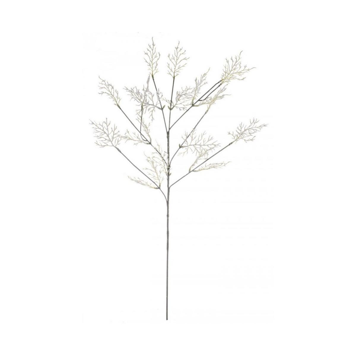 Ramo Cipresso Alpino Bianco 90cm | Bizzotto