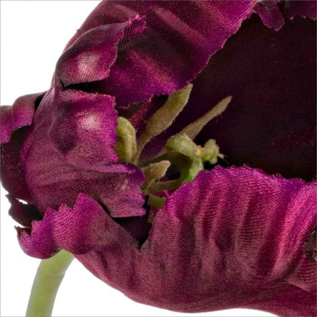 Fiore Tulipano Parrot Bordeaux 76