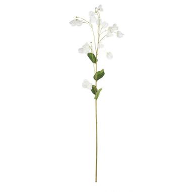 Fiore Alchechengio x20F Bianco cm.H99 | Bizzotto