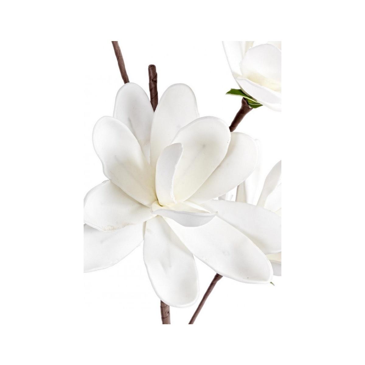 Magnolia X4F Bianco Cm.H92