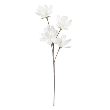 Magnolia X4F Bianco Cm.H92 -564