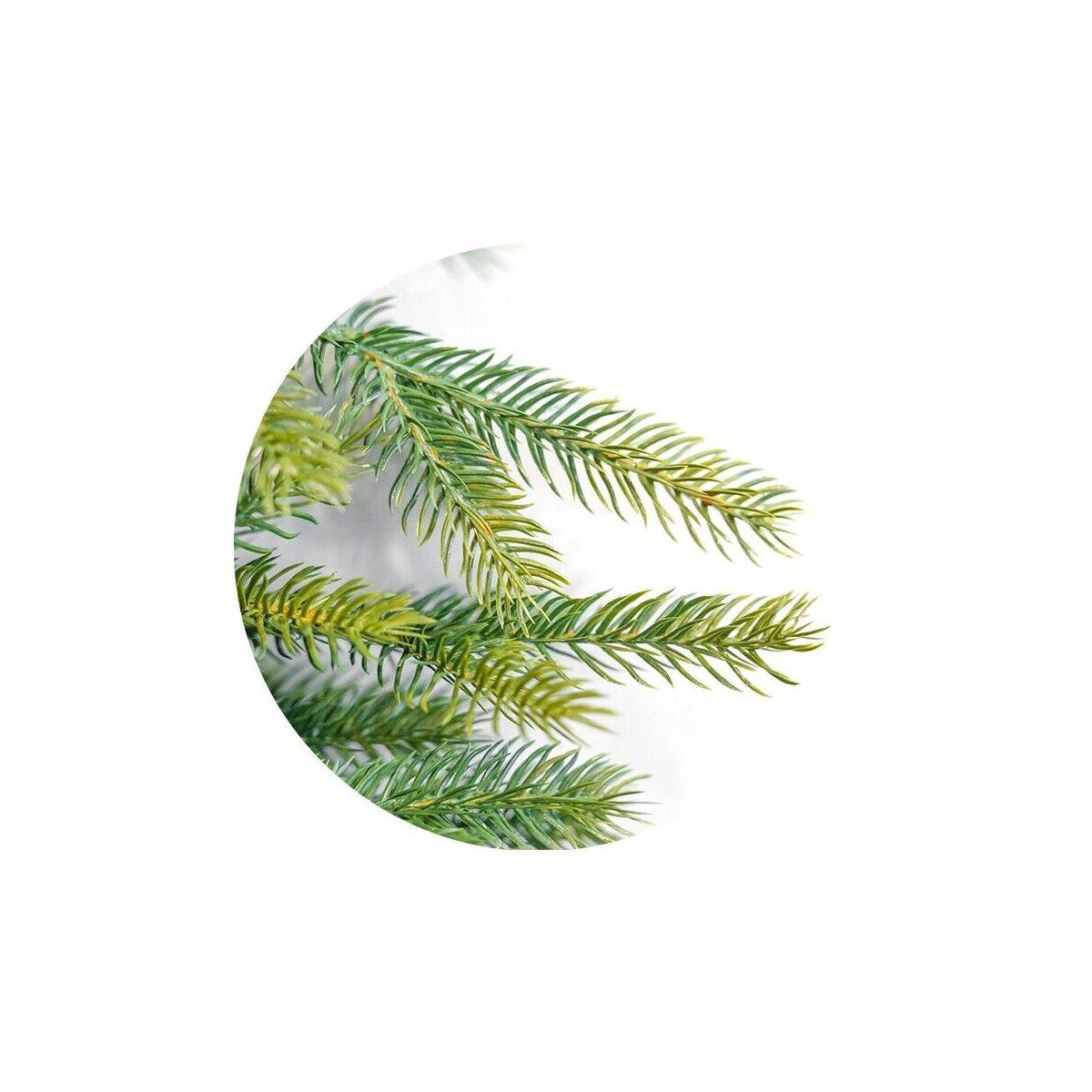 Albero Natale cm.240 Verde delle Alpi |Mazzeo