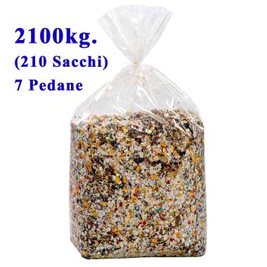 Coriandoli Certificati Multicolor Sacco 210x10kg = 2100kg (7 Pedane)