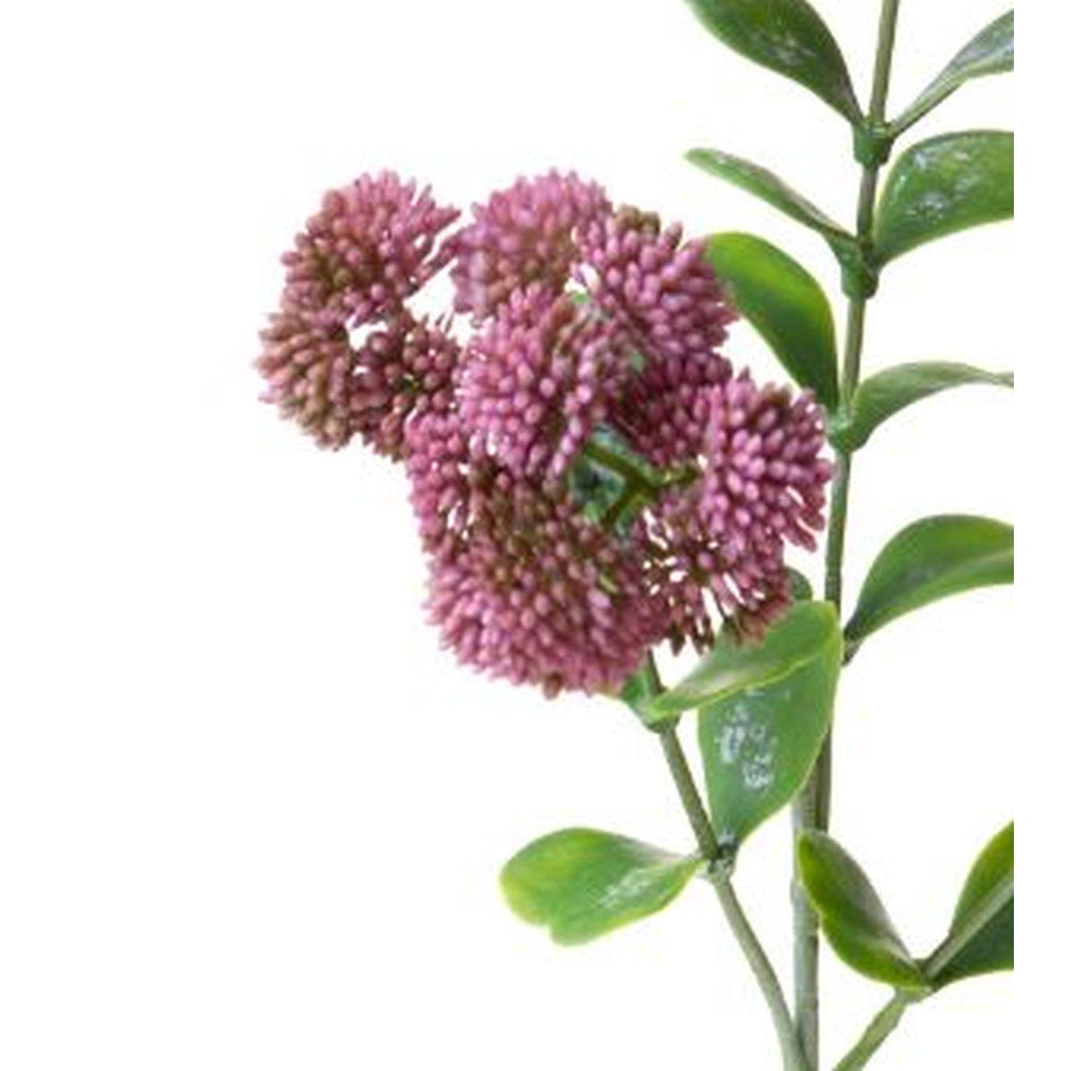 Fiore Sedum Viola cm.56