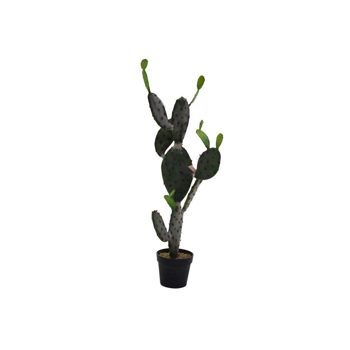Pianta Cactus con Vaso Nero cm.60x45h119 | Vacchetti
