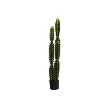 Pianta Cactus Con Vaso Tondo Cm.Ø18H124