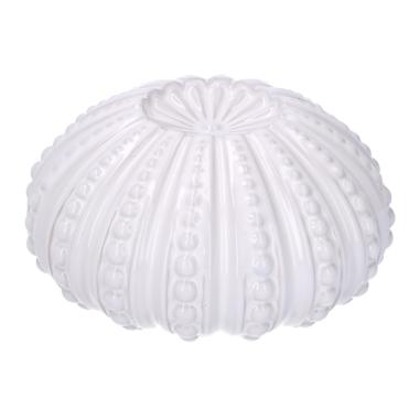 Riccio Di Mare Ceramica Bianco Tondo Cm.Ø18,1H9,3