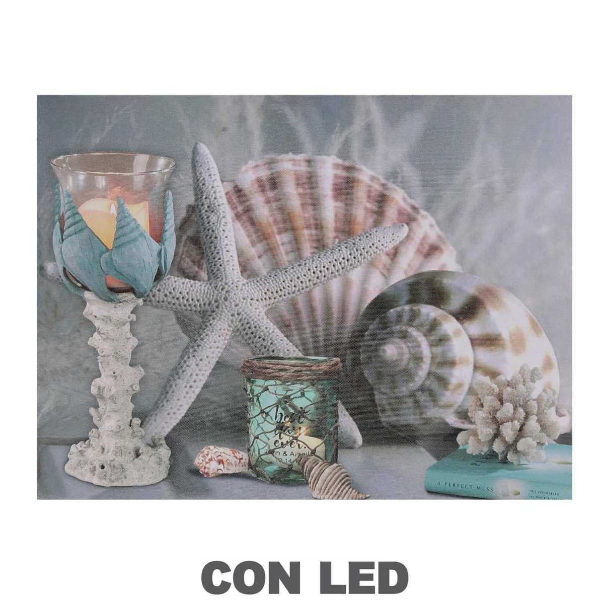 Quadro Mare LED conchiglie cm.40x2,3x30 | Vacchetti