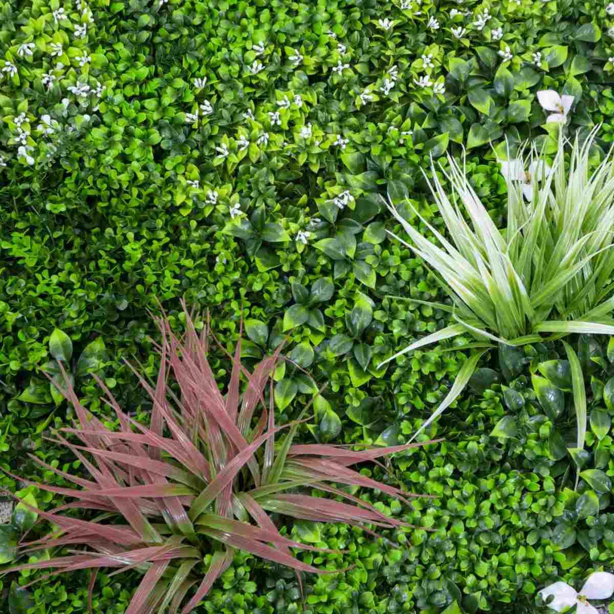 Pannello Verde cm.100x100 | Vacchetti