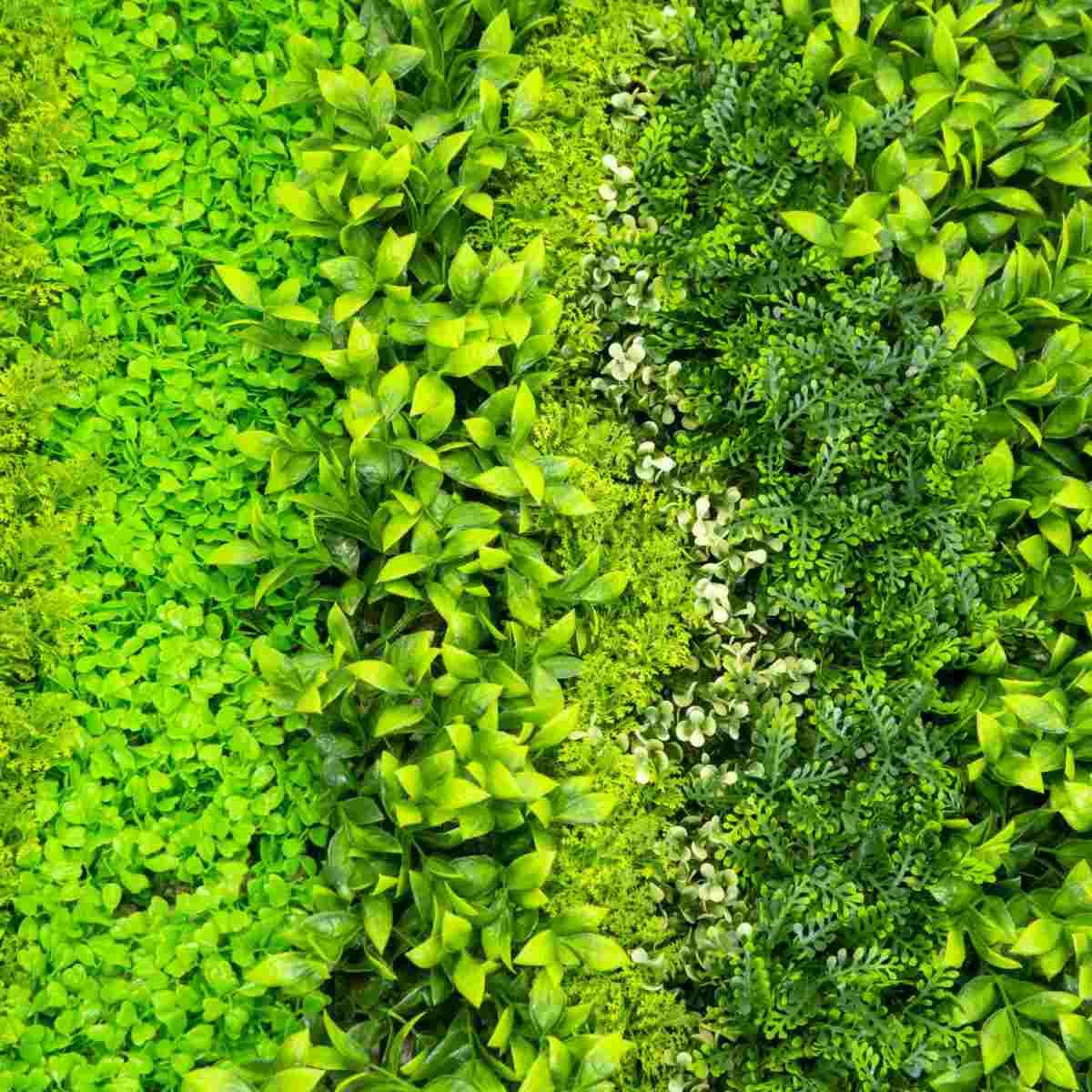 Pannello Verde cm.100x100 | Vacchetti