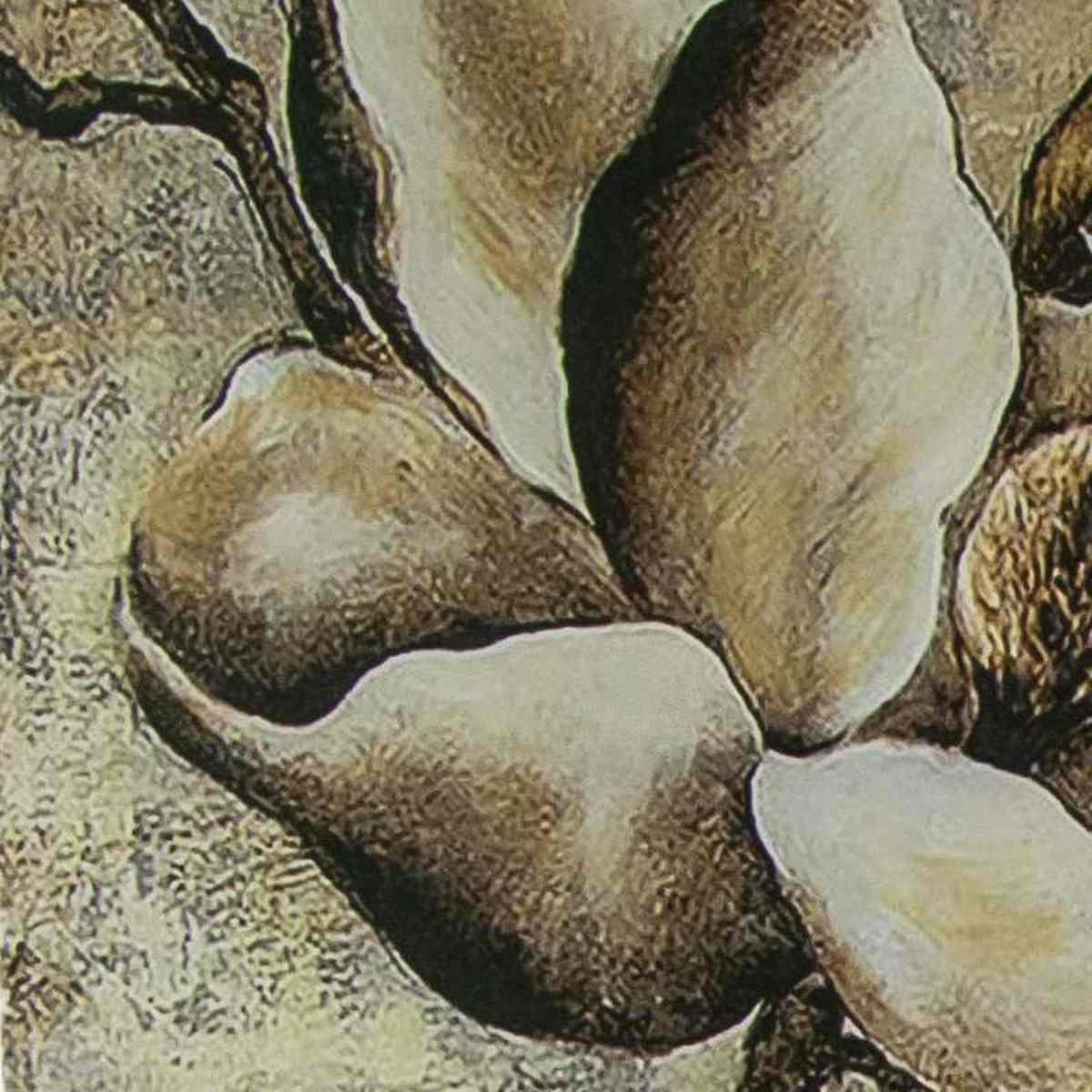 Paravento Stampa Fiori Blu Tre Ante cm.120,6x2,5h180 | Vacchetti