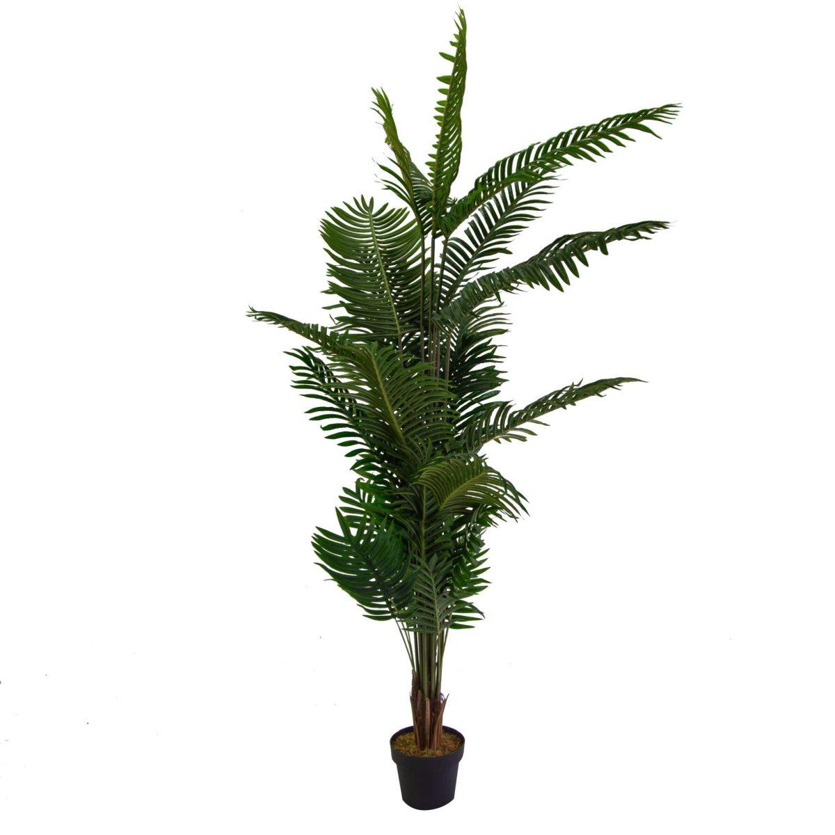 Pianta Artificiale Plastica Kenzia cm.h220 | Vacchetti