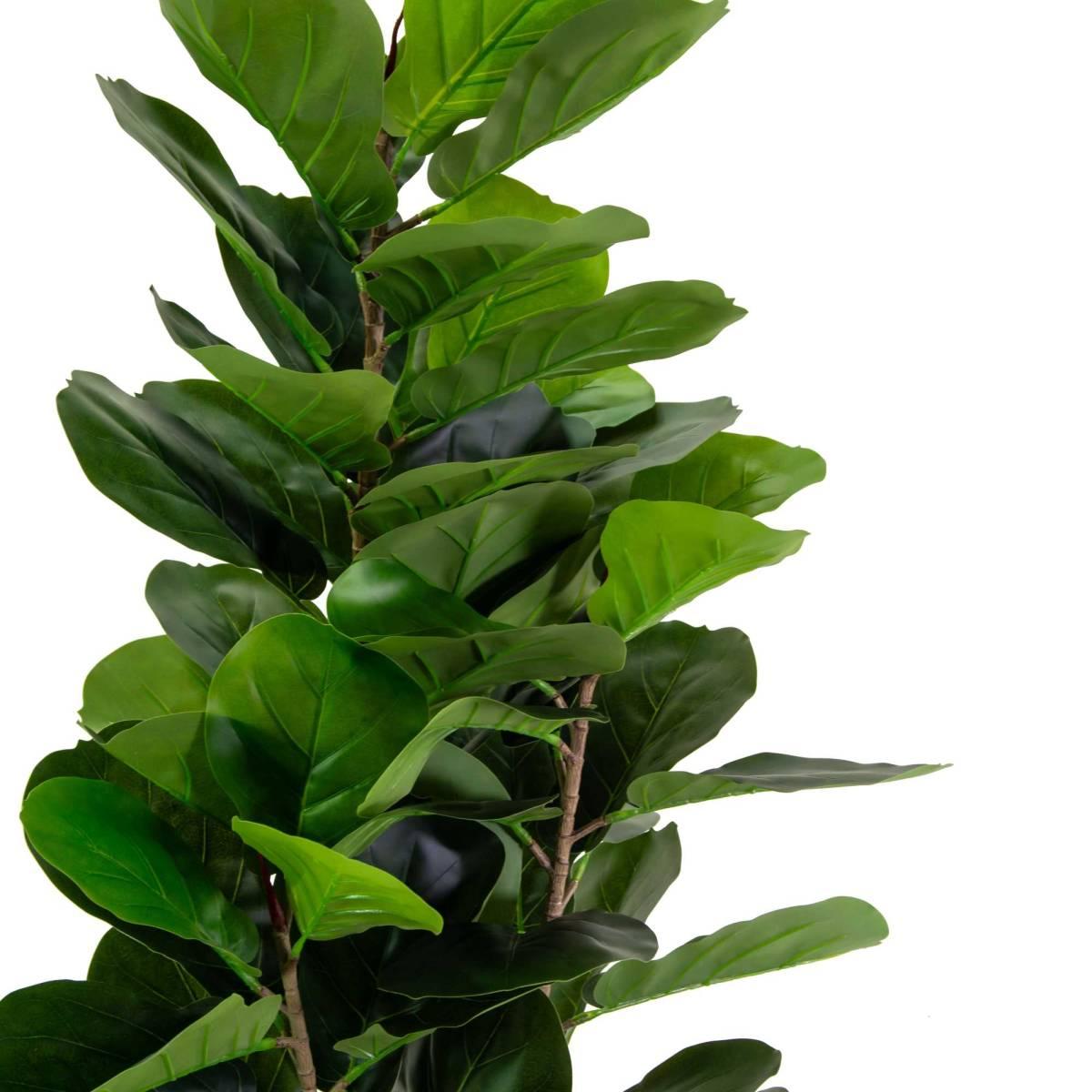 Pianta Artificiale Plastica Ficus cm.h150 | Vacchetti