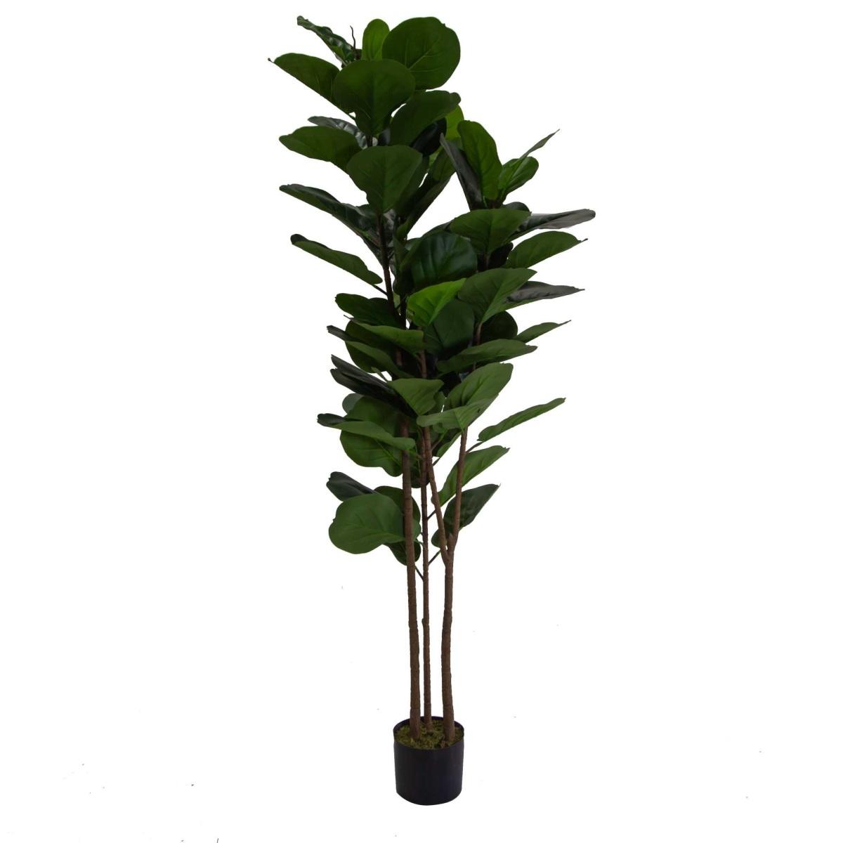 Pianta Artificiale Plastica Ficus cm.h180 | Vacchetti