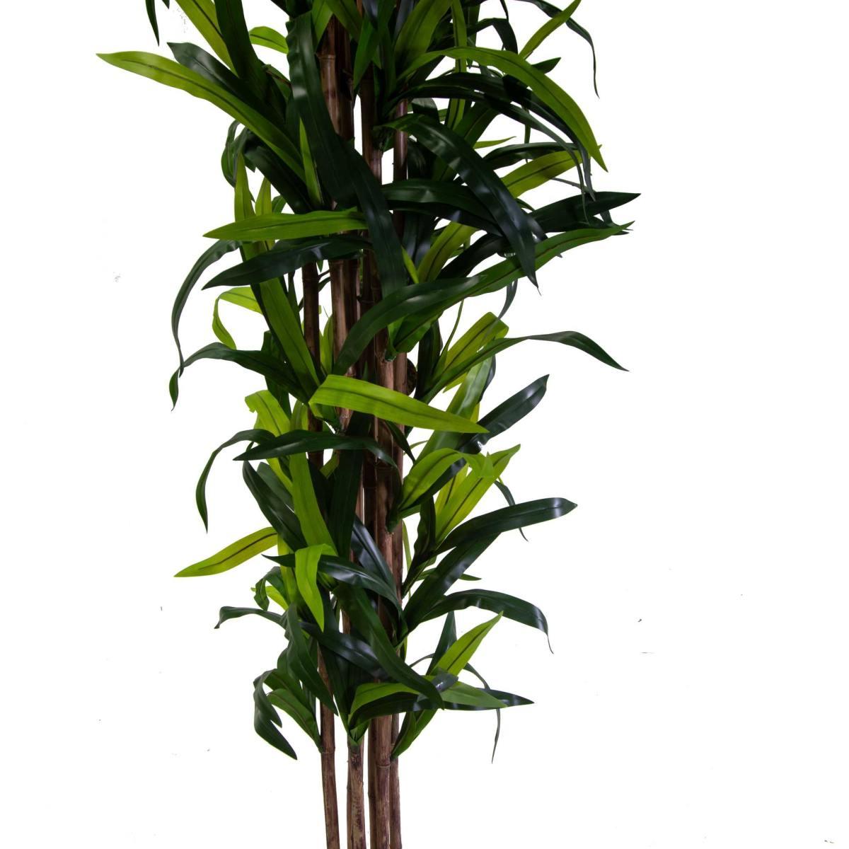 Pianta Artificiale Plastica Dracaena cm.h198 | Vacchetti