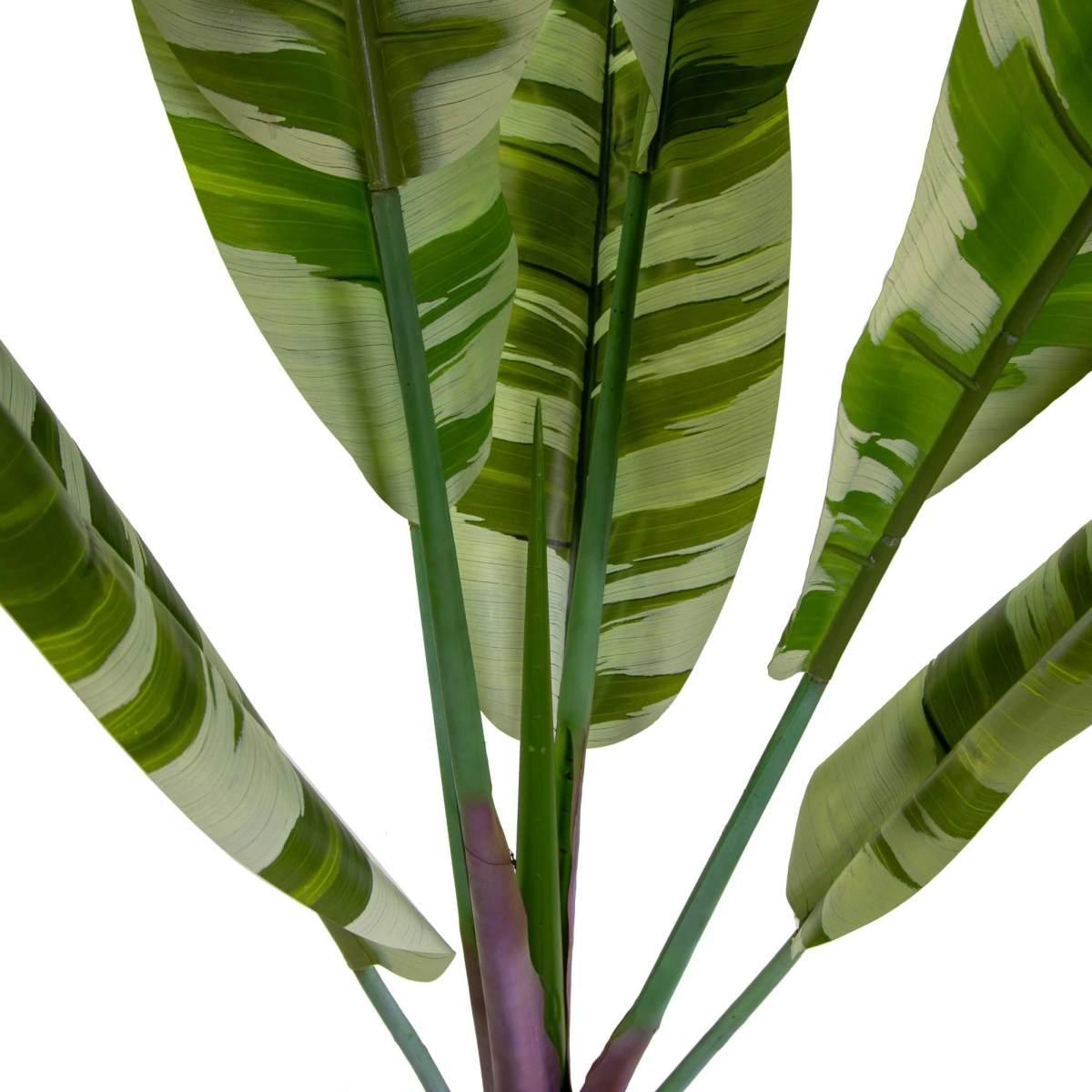 Pianta Artificiale Plastica Banano cm.h190 | Vacchetti