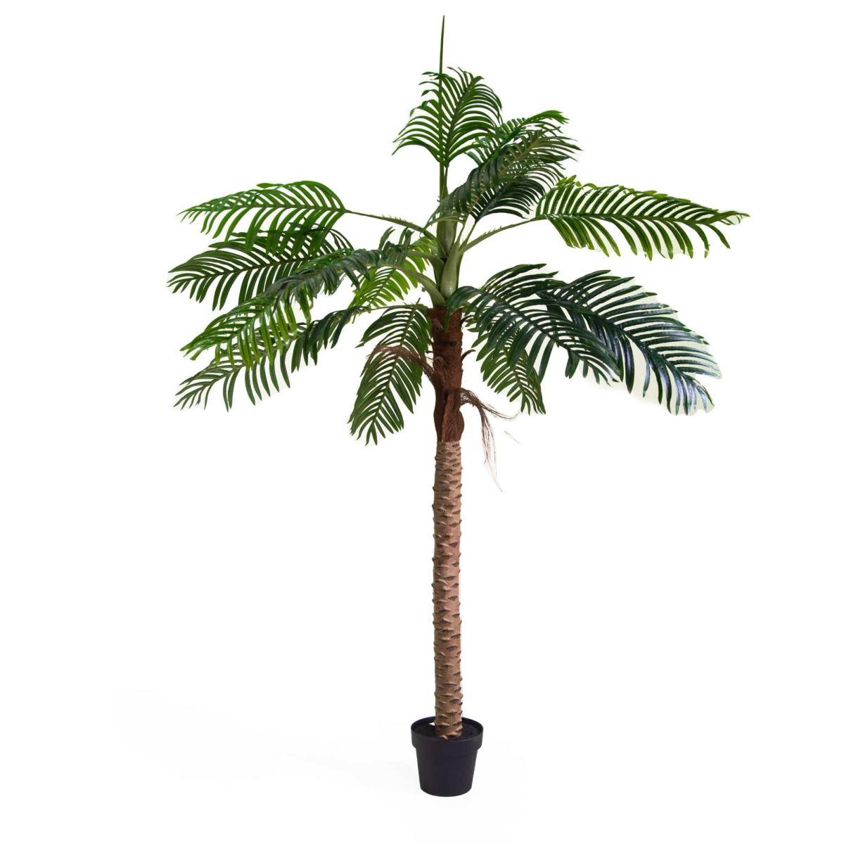 Pianta Artificiale Plastica Palma cm.h210 | Vacchetti