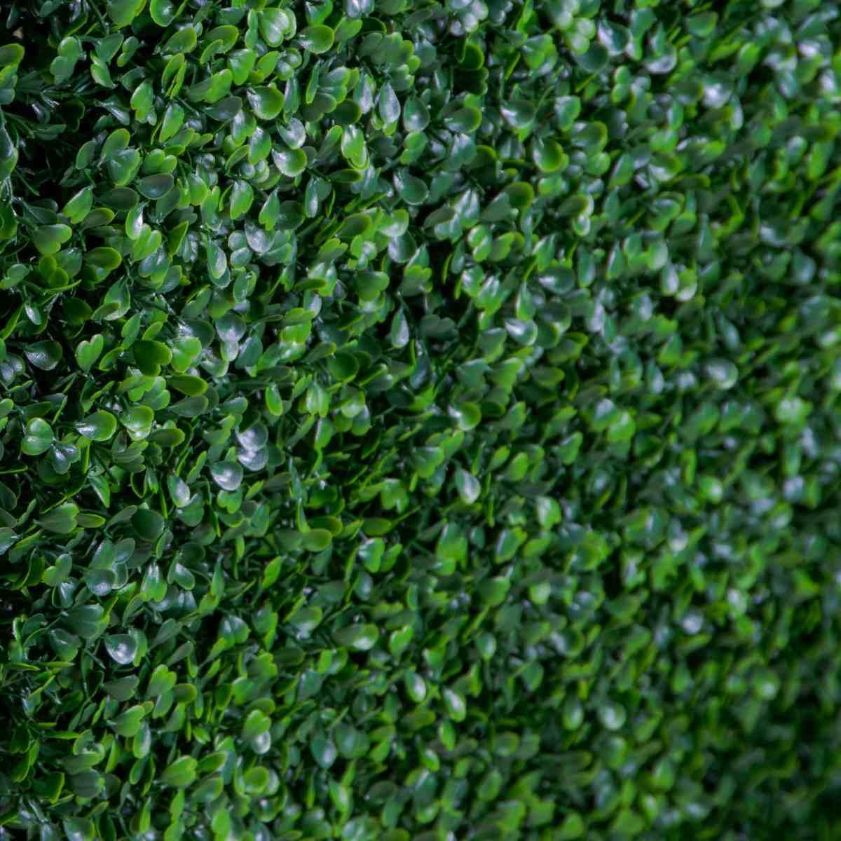 Pannello Siepe 3D Quadro cm.75x25xh75 | Vacchetti