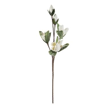 Magnolia Bocciolo X3F+2B Bianco Cm.H95