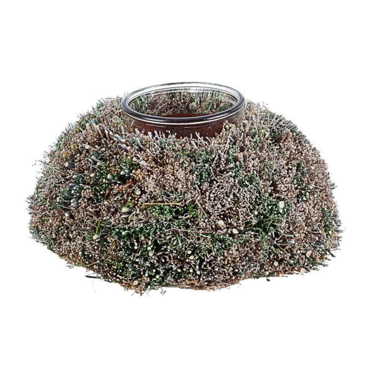 Portacandela 1P Wild To | Bizzotto