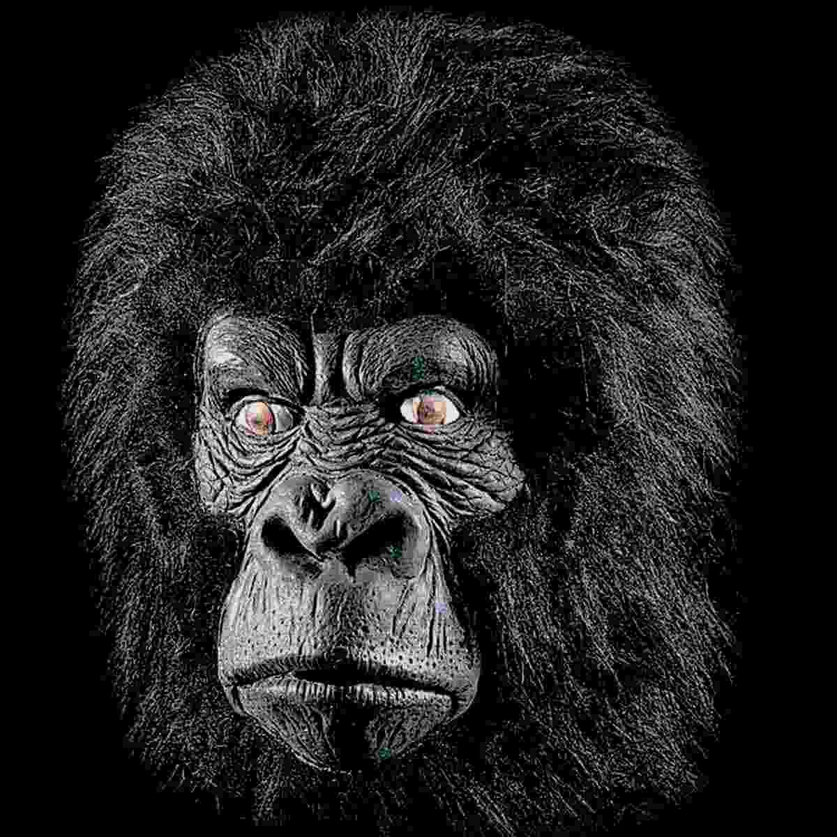 Maschera Viso Lattice Gorilla |Carnival Toys