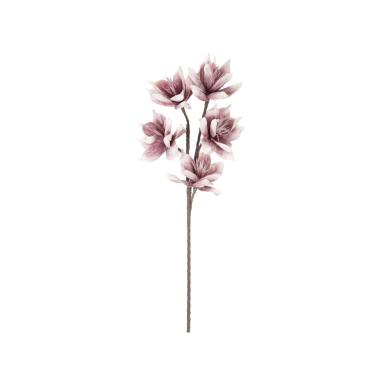 Fiore Wintersweet Flower x5 Rosa cm.Ø20x96