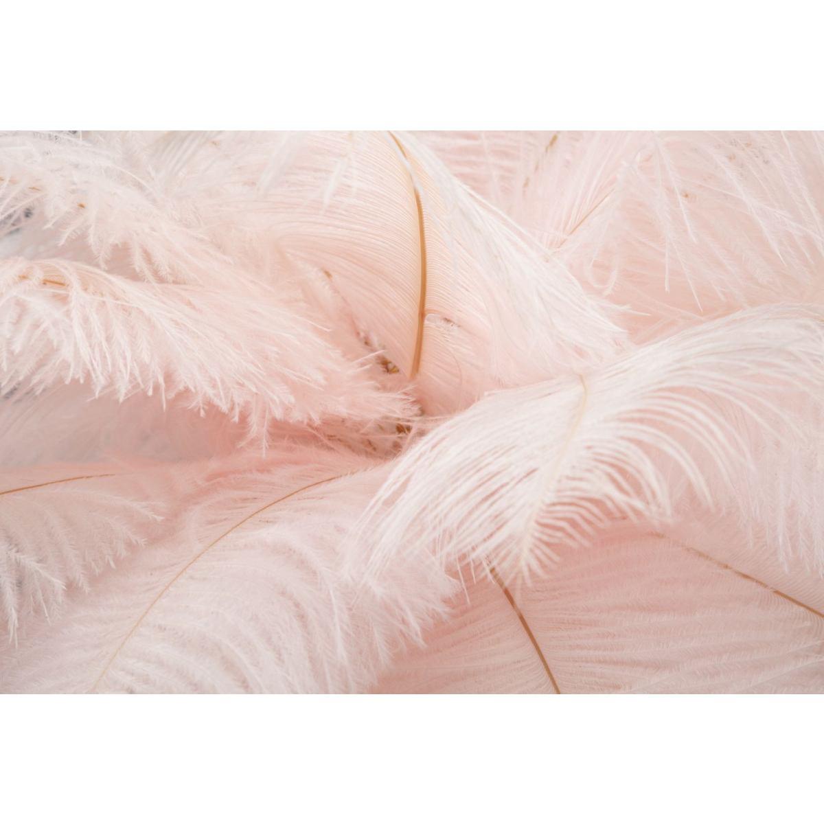 Lampada Tavolo Palm Rosa cm.Ã?40x55 | Mauro Ferretti