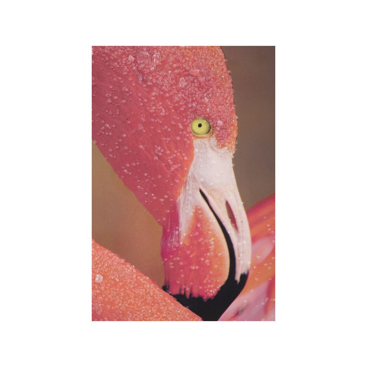 Quadro Stampa Su Tela Con Applicazioni mod.A Flamingo cm.80x3,8x120