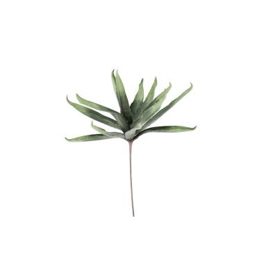 Mazzetto Florie Aloe Verde Scuro Cm.H80 -101