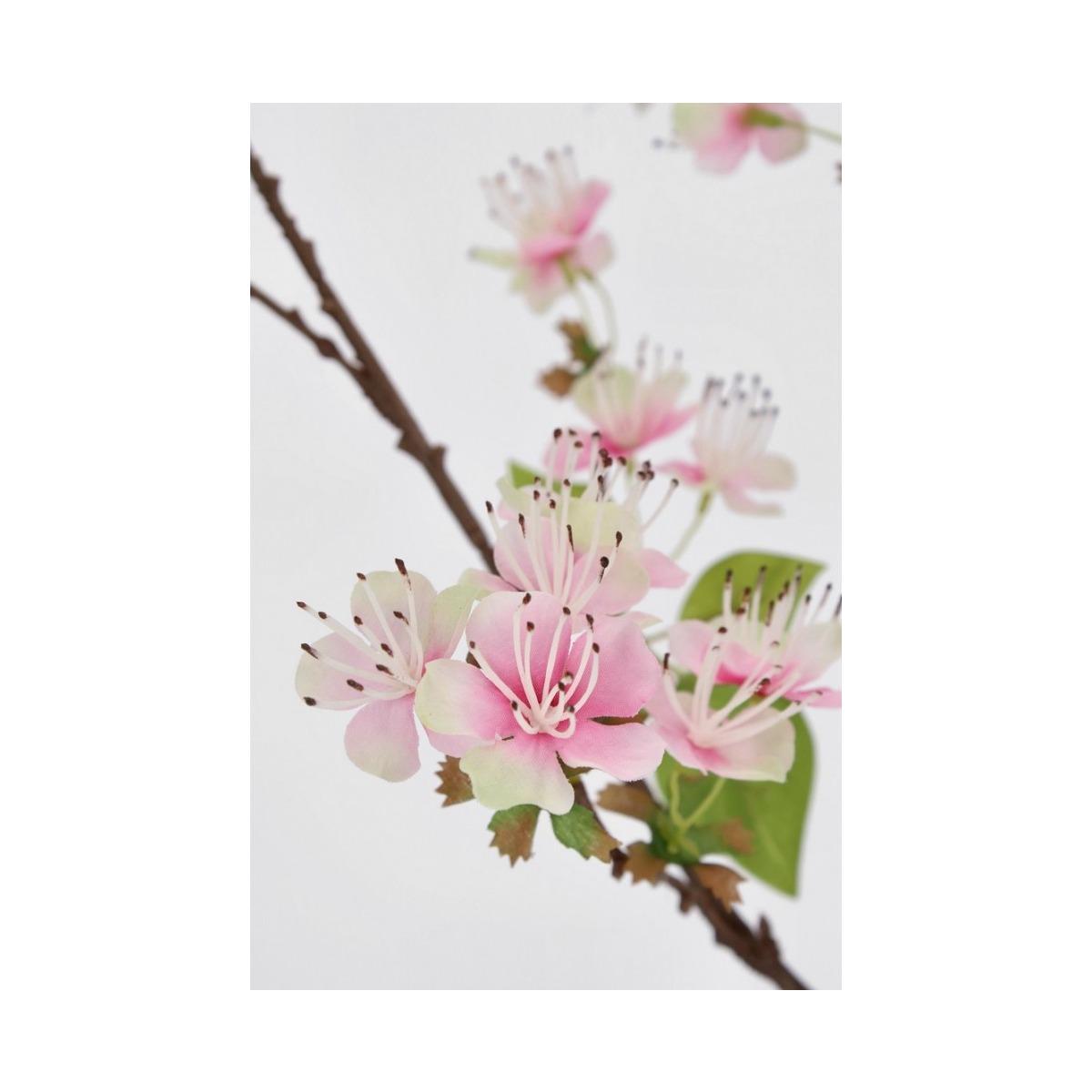 Ramo Pero Cyndi Rosa 30x110H | Bizzotto